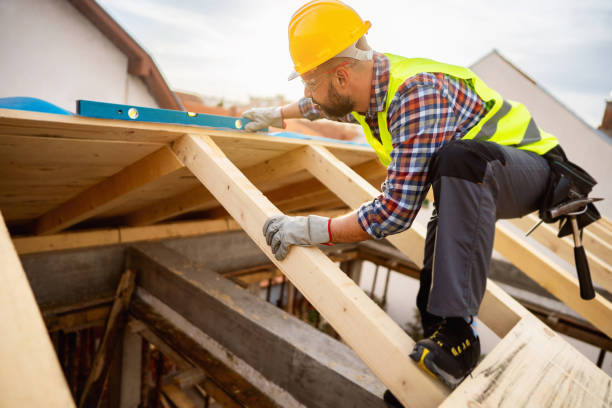 Best Roof Gutter Cleaning  in Bayboro, NC